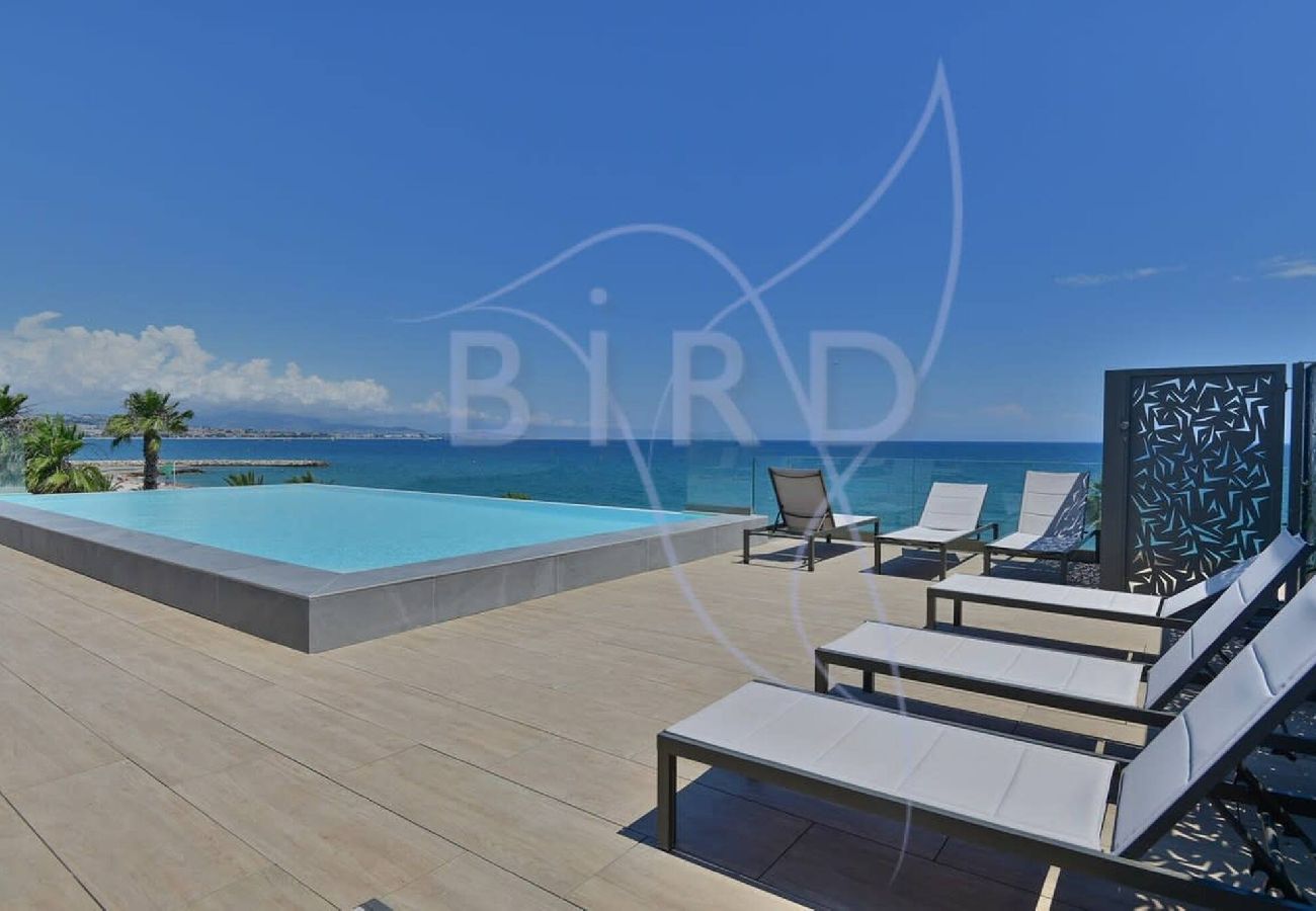 Studio in Villeneuve-Loubet - DUB INVEST