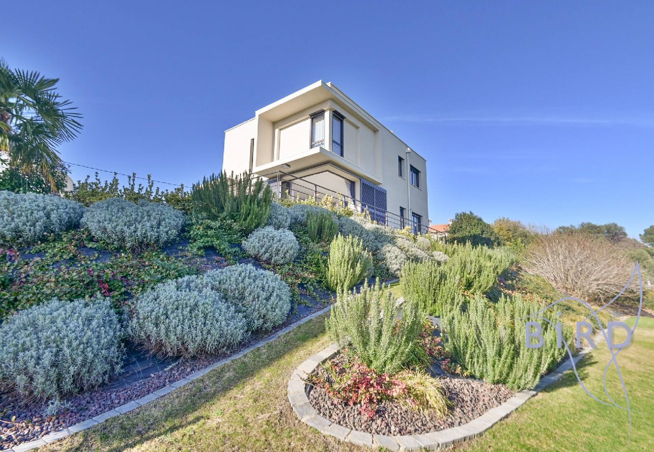 Villa in Cagnes-sur-Mer - Contemporary Villa Pool and Sea View 