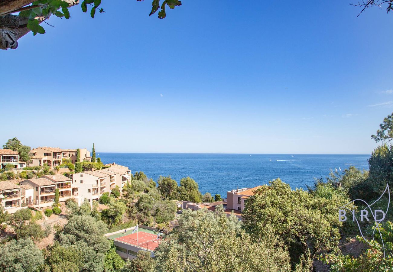 Villa in Théoule-sur-Mer - Sumptuous villa with sea view and its renovated 