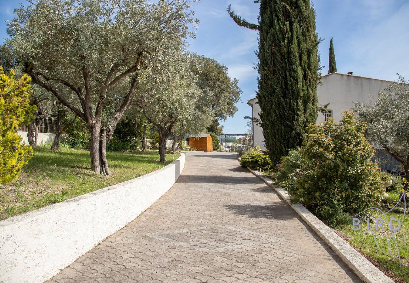 Villa in Trans-en-Provence - Haven of peace in the Var 