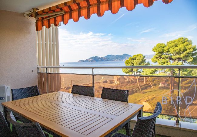 Apartment in Cannes - LEADER