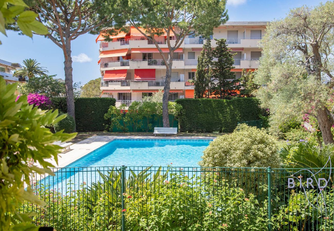 Studio in Antibes - Studio With Swimming Pool in Juan Les Pins 
