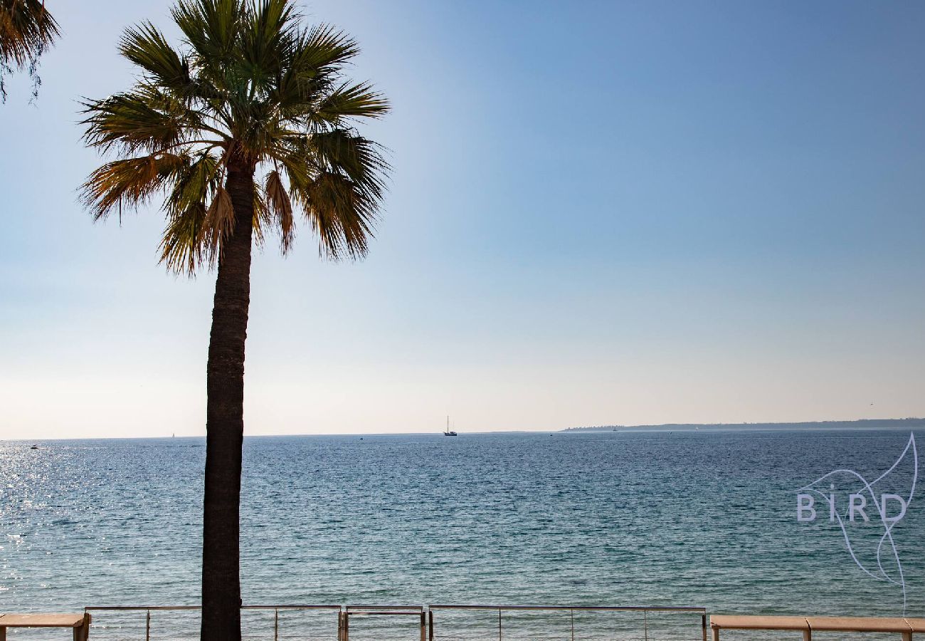 Studio in Antibes - Large studio on the seafront 