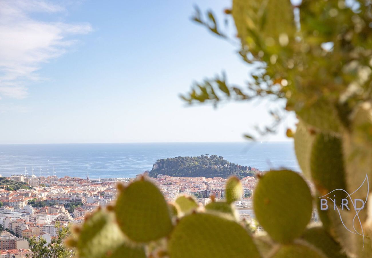 Villa in Nice - Villa Bonnard in Nice Sea and city View Pool 