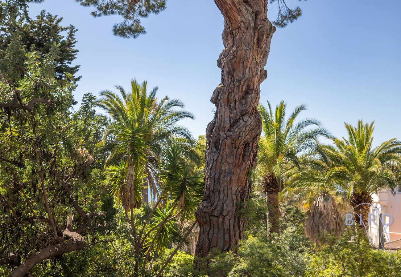 Studio in Cannes - Spacious studio 4 minutes walk from the Beaches 
