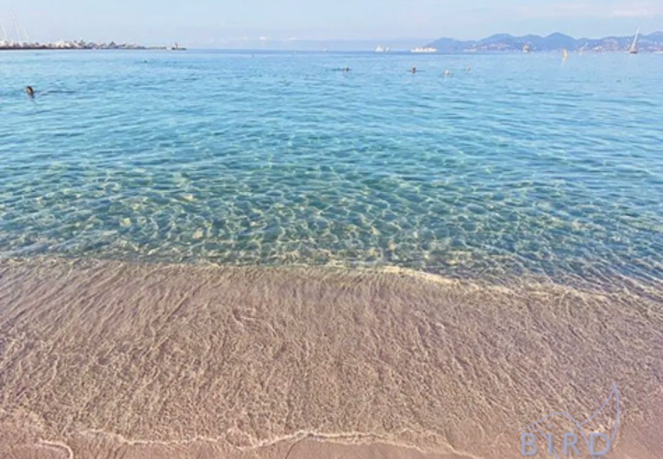 Studio in Cannes - Spacious studio 4 minutes walk from the Beaches 