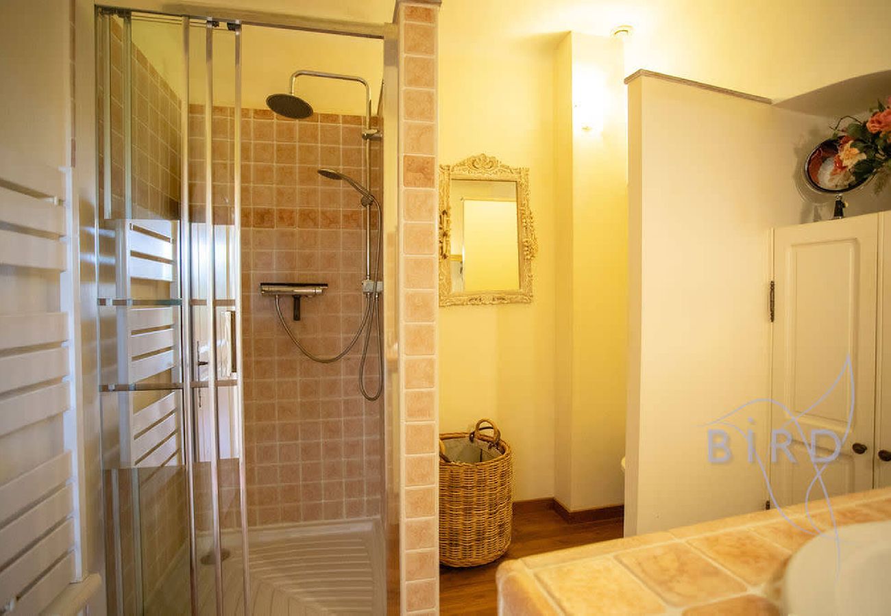 Villa in Fayence - Sumptuous Provencal farmhouse at the foot of the Fayence