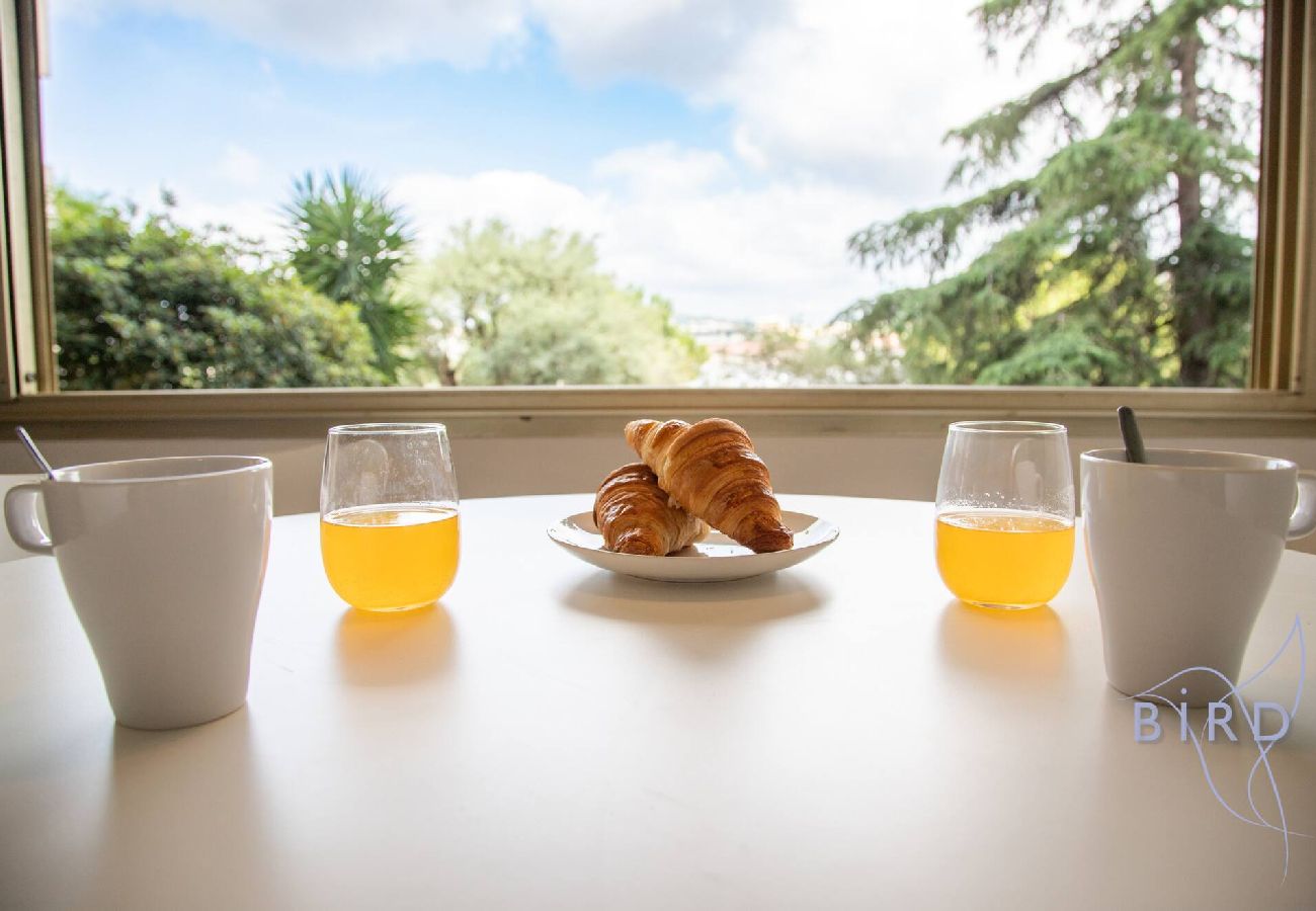 Studio in Antibes - Nice flat with hot pool 