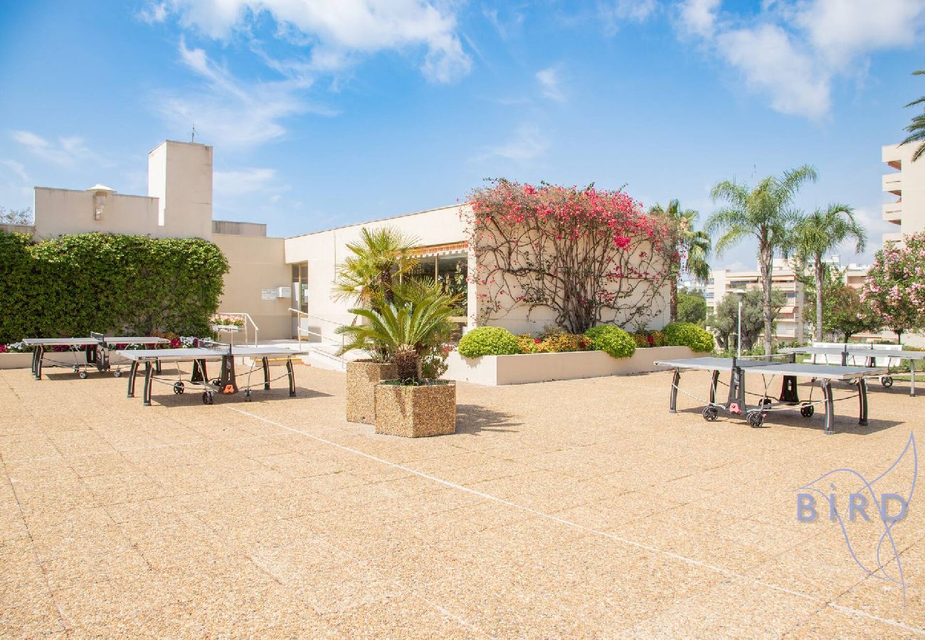 Studio in Antibes - Nice flat with hot pool 