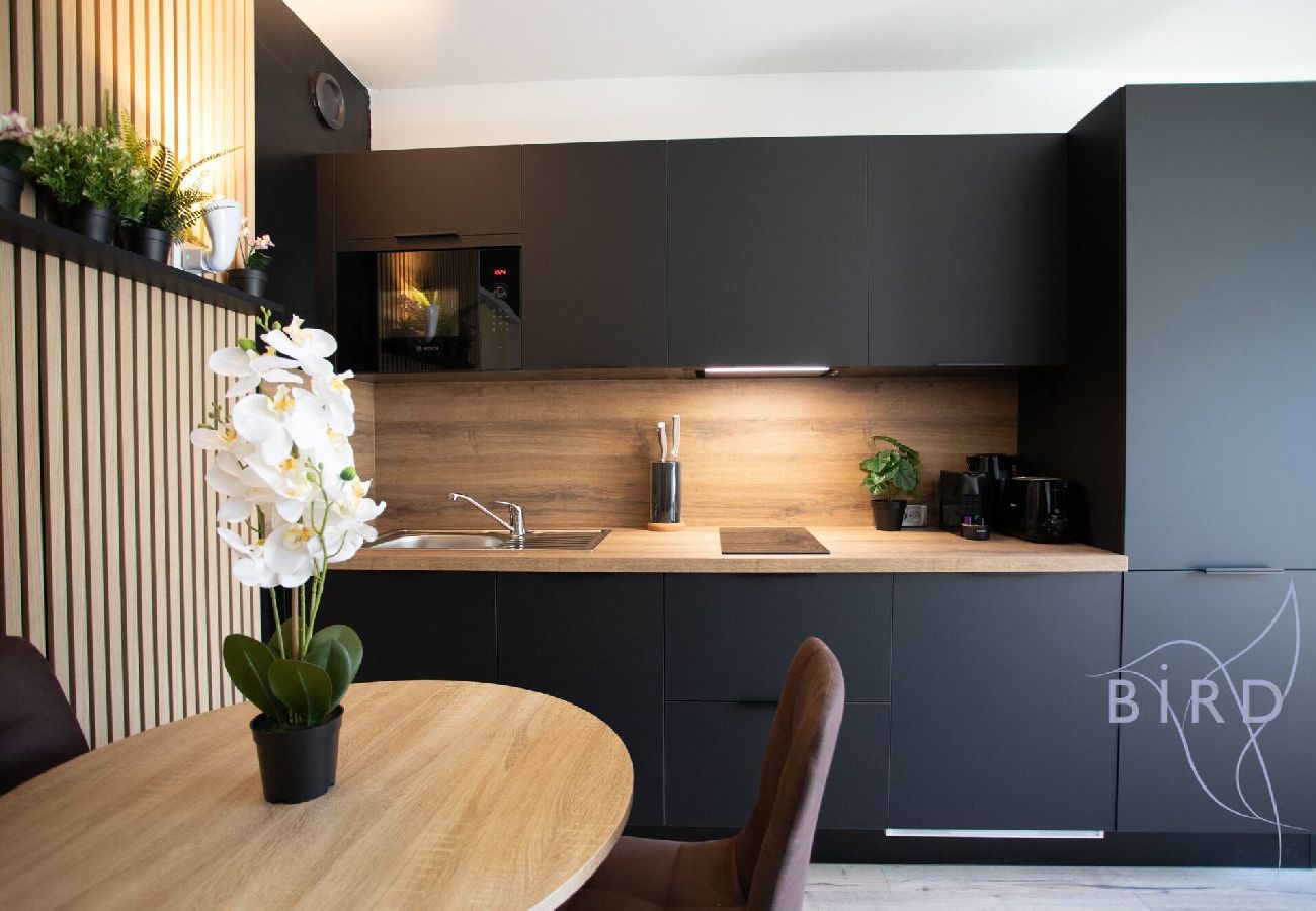 Studio in Antibes - Sunny Flat in Juan les pins 