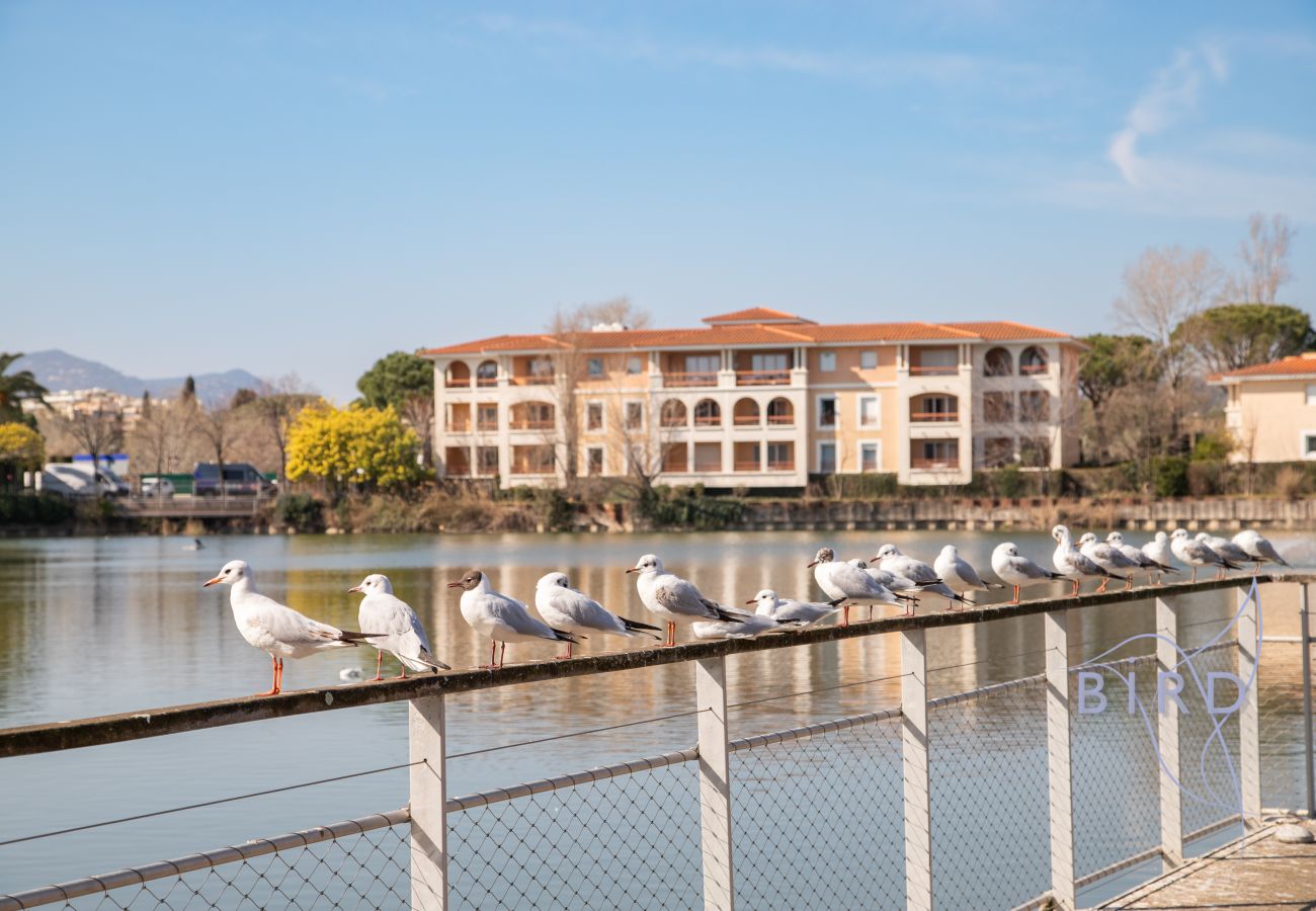 Studio in Mandelieu-la-Napoule - Lovely studio with golf course views close to the 