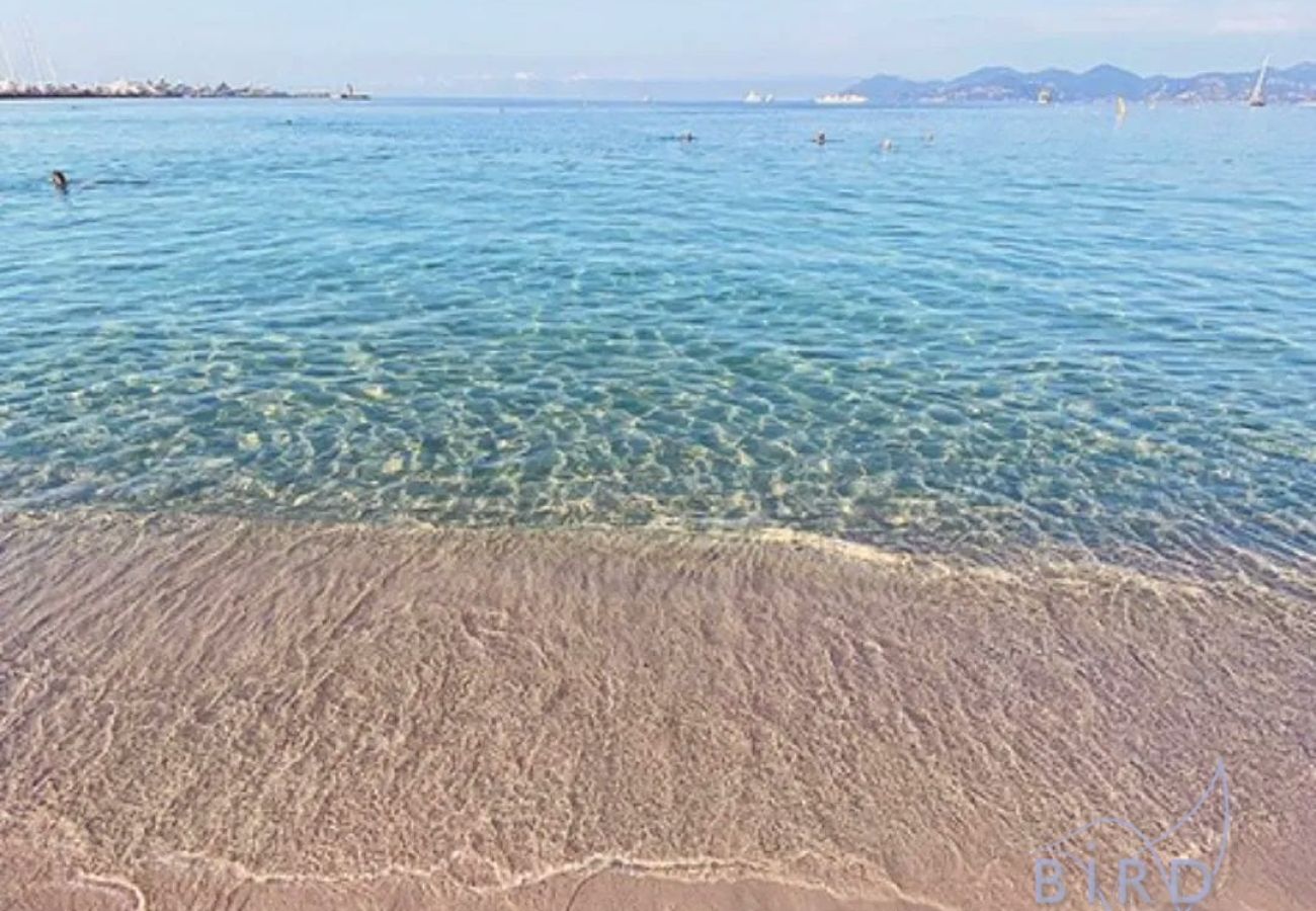 Apartment in Cannes - Spacious apartment with terrace, parking, and pool - Cannes Montfleury