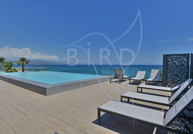 Studio à Villeneuve-Loubet - DUB INVEST