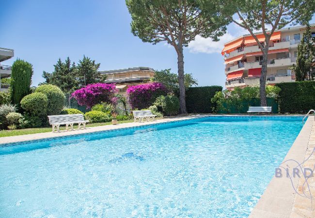 Studio à Antibes - LES ORANGERS