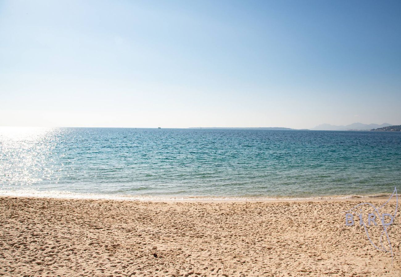 Studio à Antibes - Grand studio en front de mer 