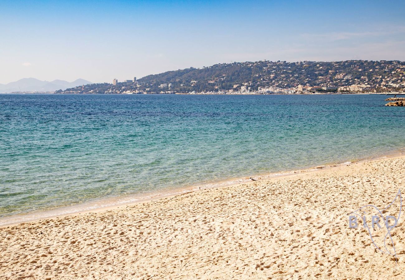 Studio à Antibes - Grand studio en front de mer 