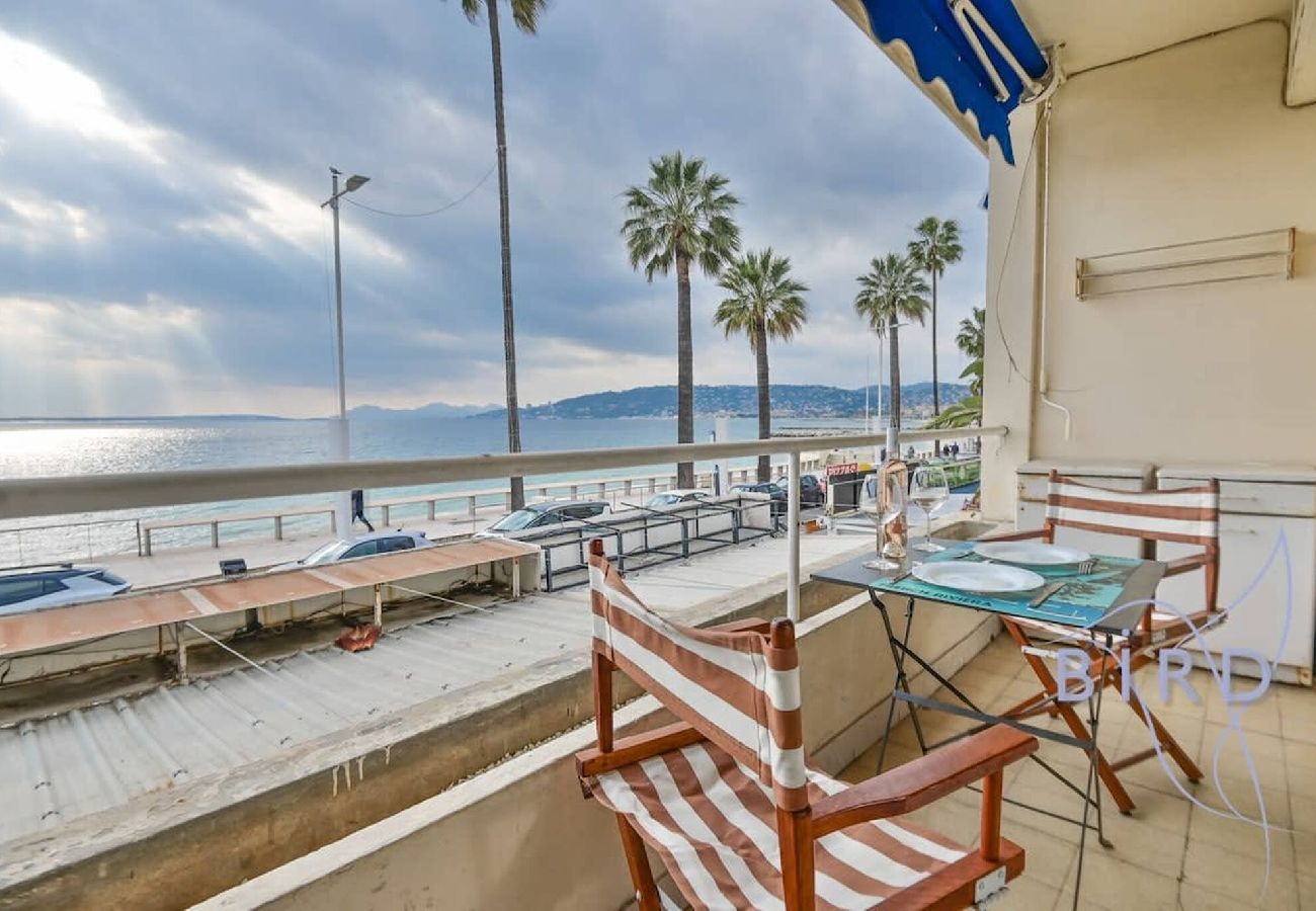 Studio à Antibes - Grand studio en front de mer 