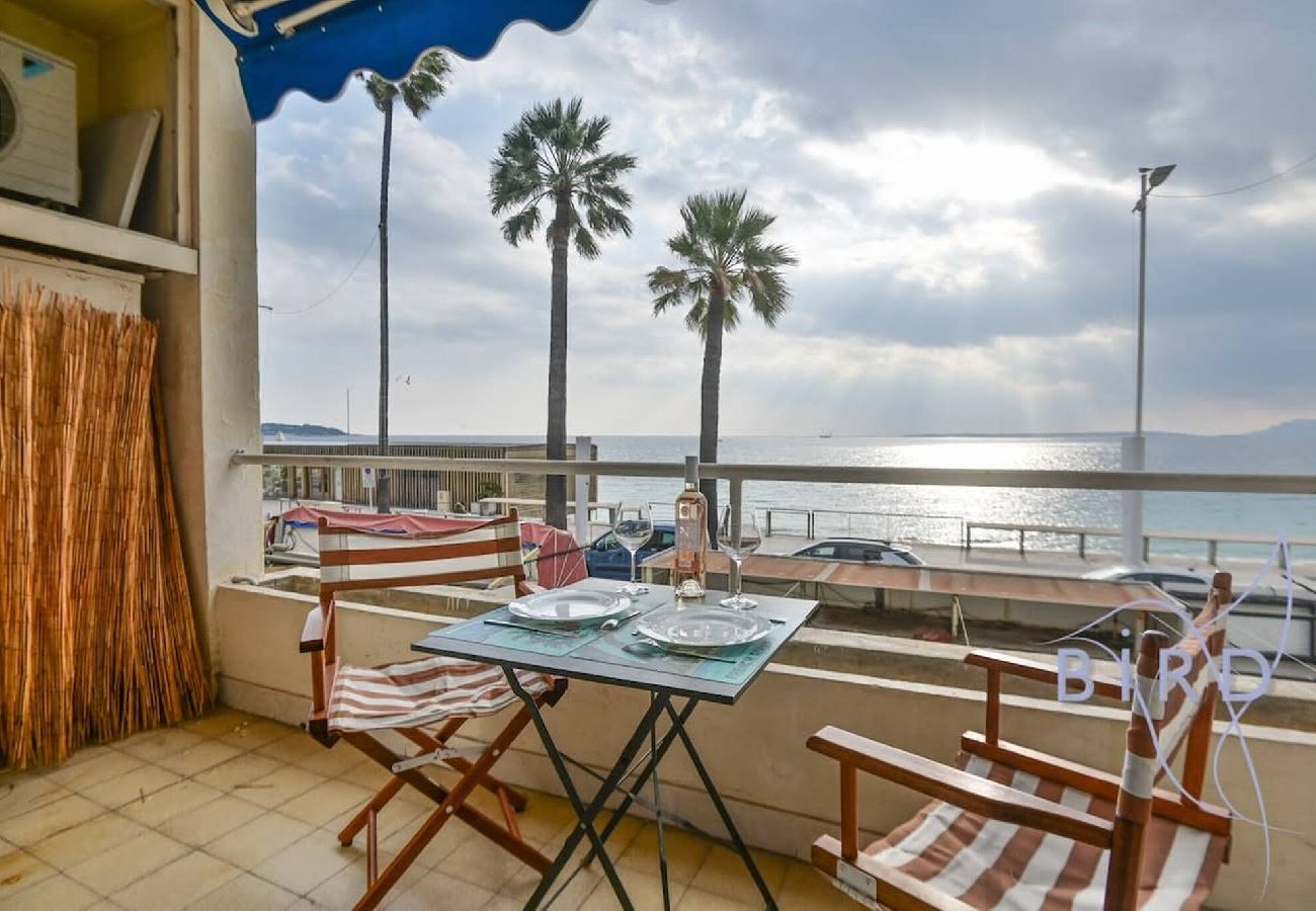Studio à Antibes - Grand studio en front de mer 