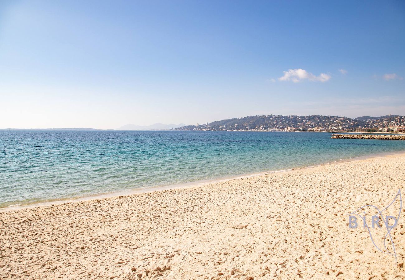 Studio à Antibes - Grand studio en front de mer 
