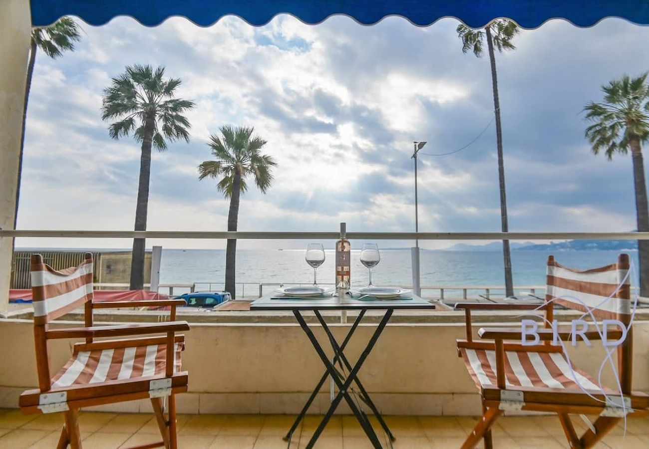 Studio à Antibes - Grand studio en front de mer 