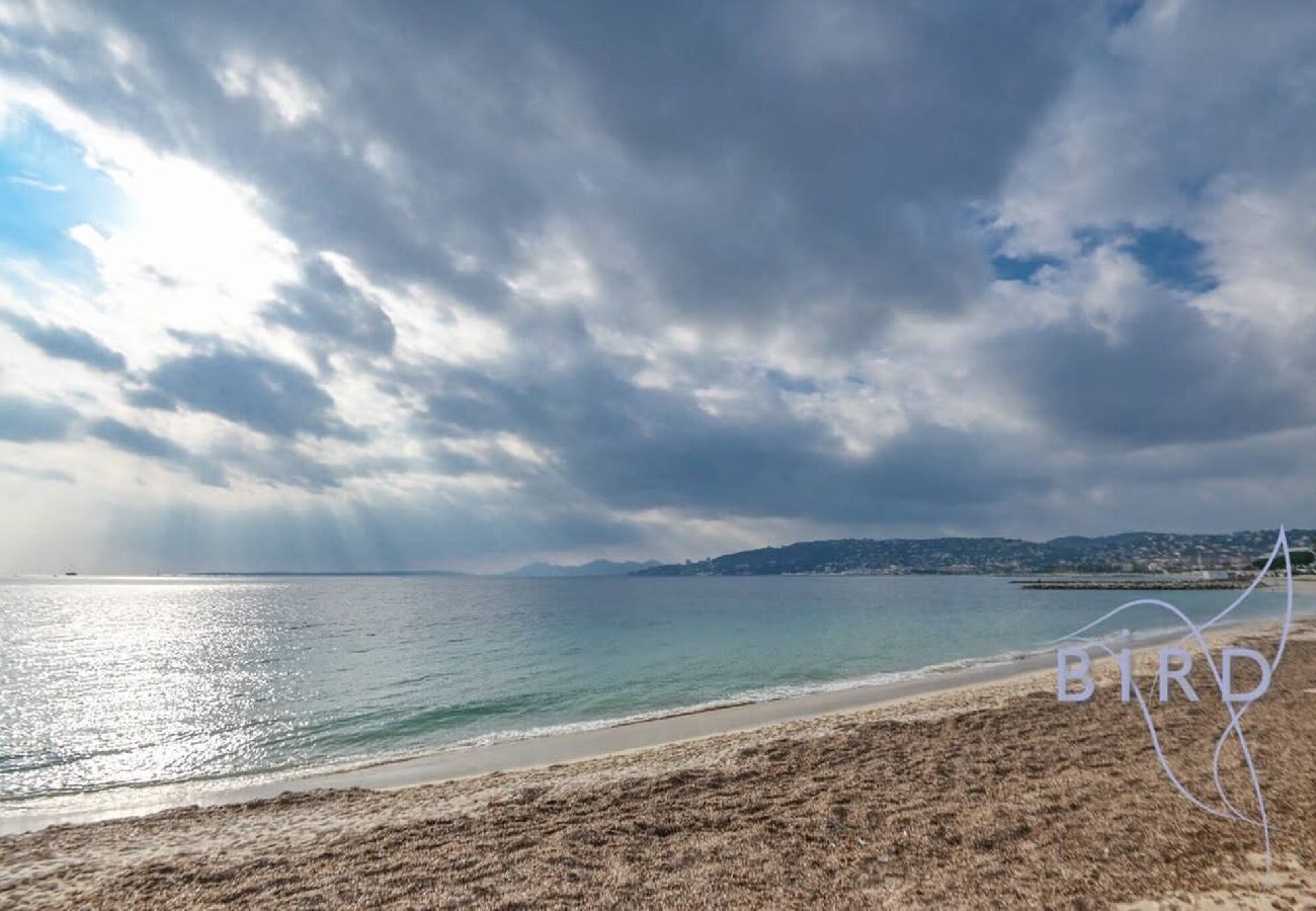 Studio à Antibes - Grand studio en front de mer 