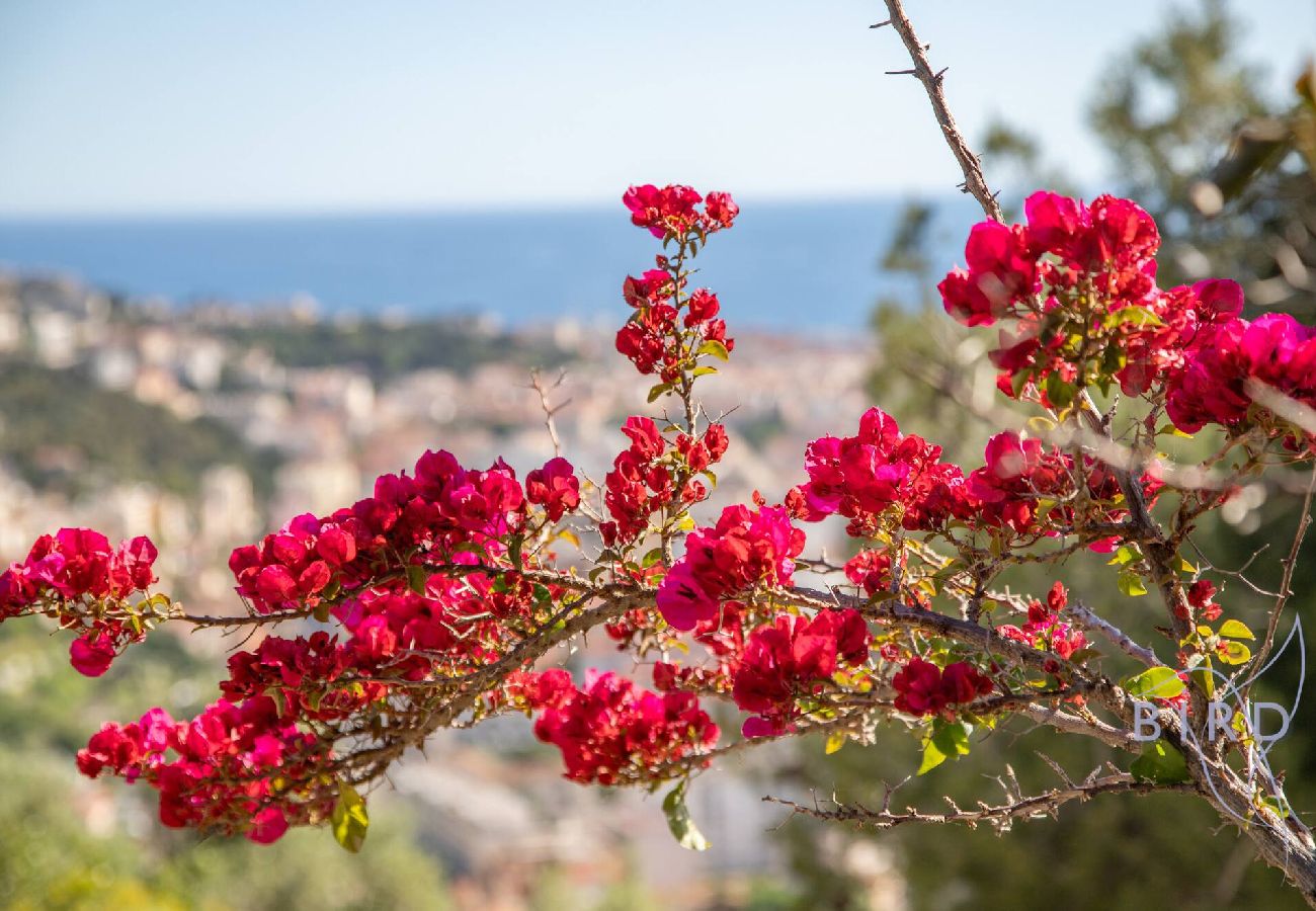 Villa à Nice - Villa Bonnard Hauteurs Niçoises vue Mer Piscine 