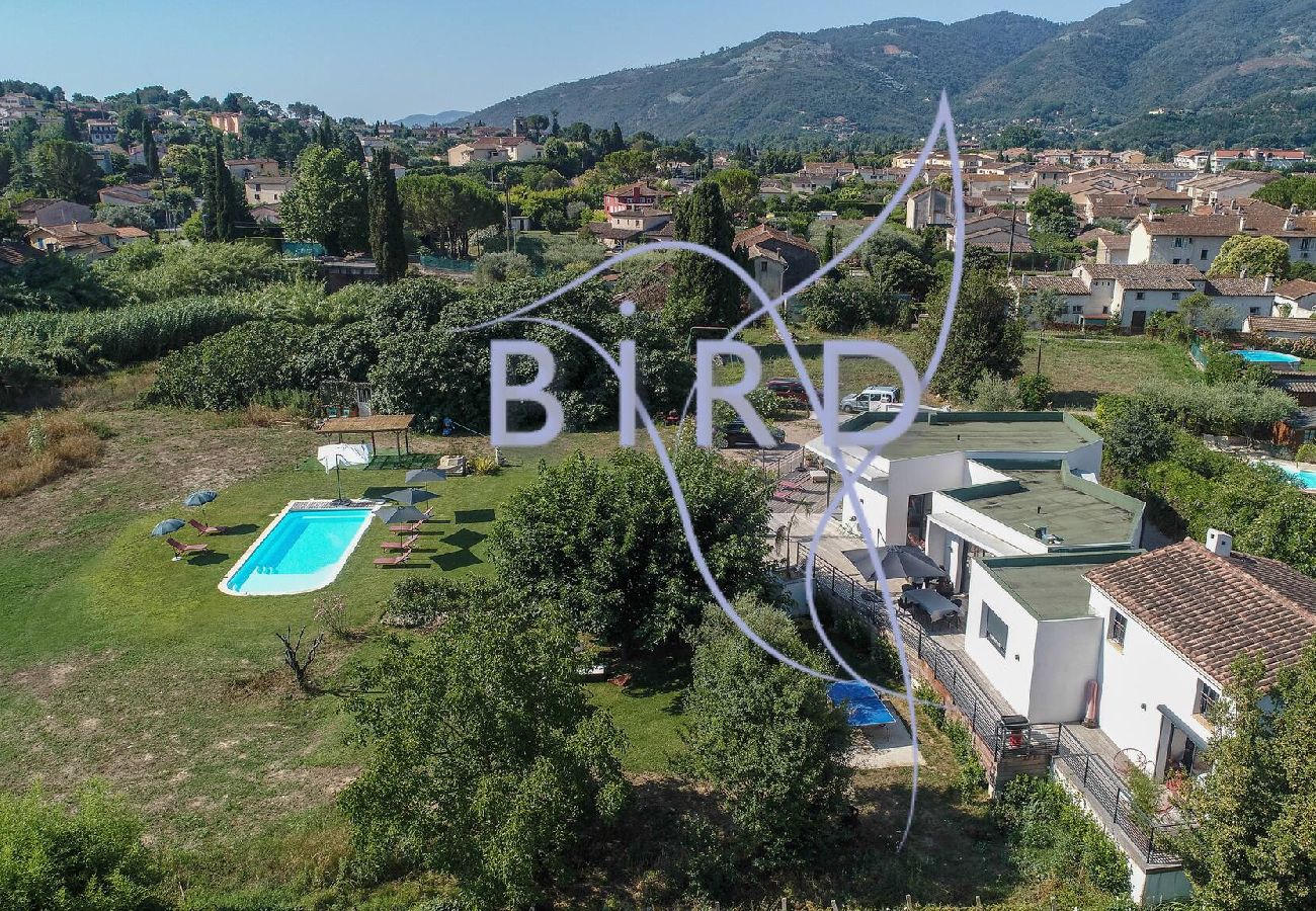 Villa à Pégomas - Belle contemporaine 200m piscine bord rivière 