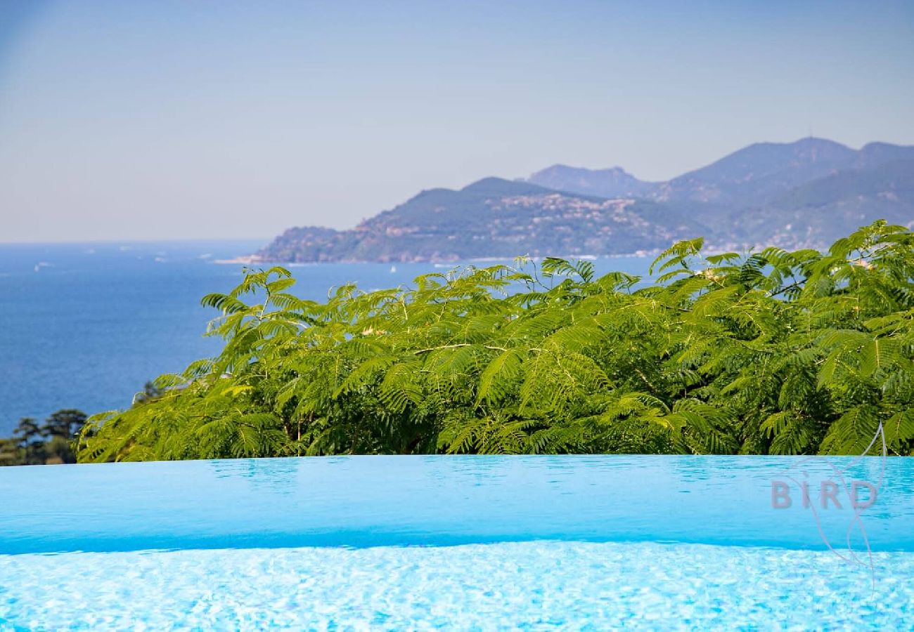 Appartement à Cannes - Luxueux appartement Cannes Vue Mer et Piscine A 