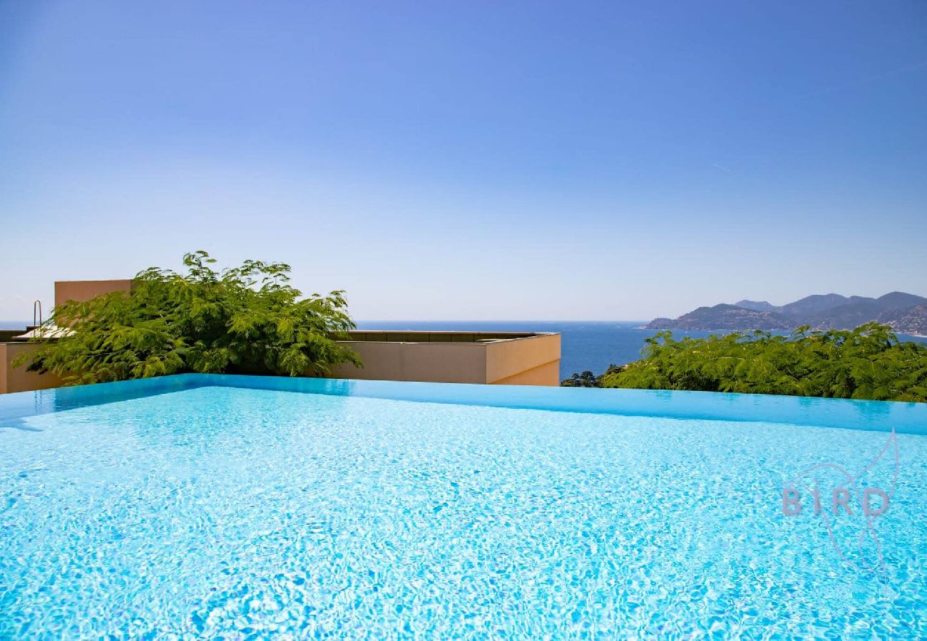 Appartement à Cannes - COINTET
