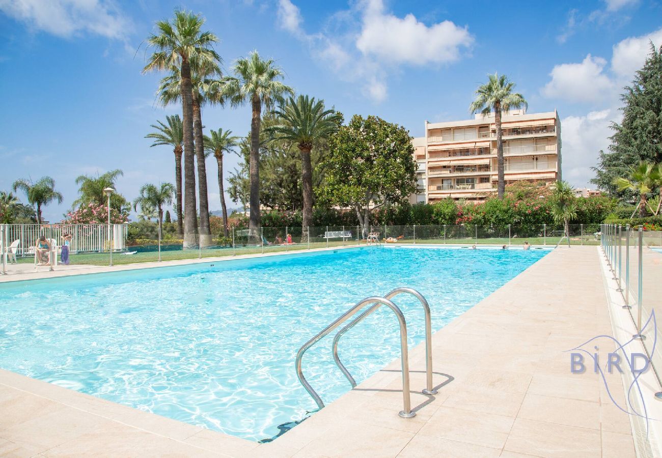 Studio à Antibes - Grand Studio Piscine Juan les Pins 