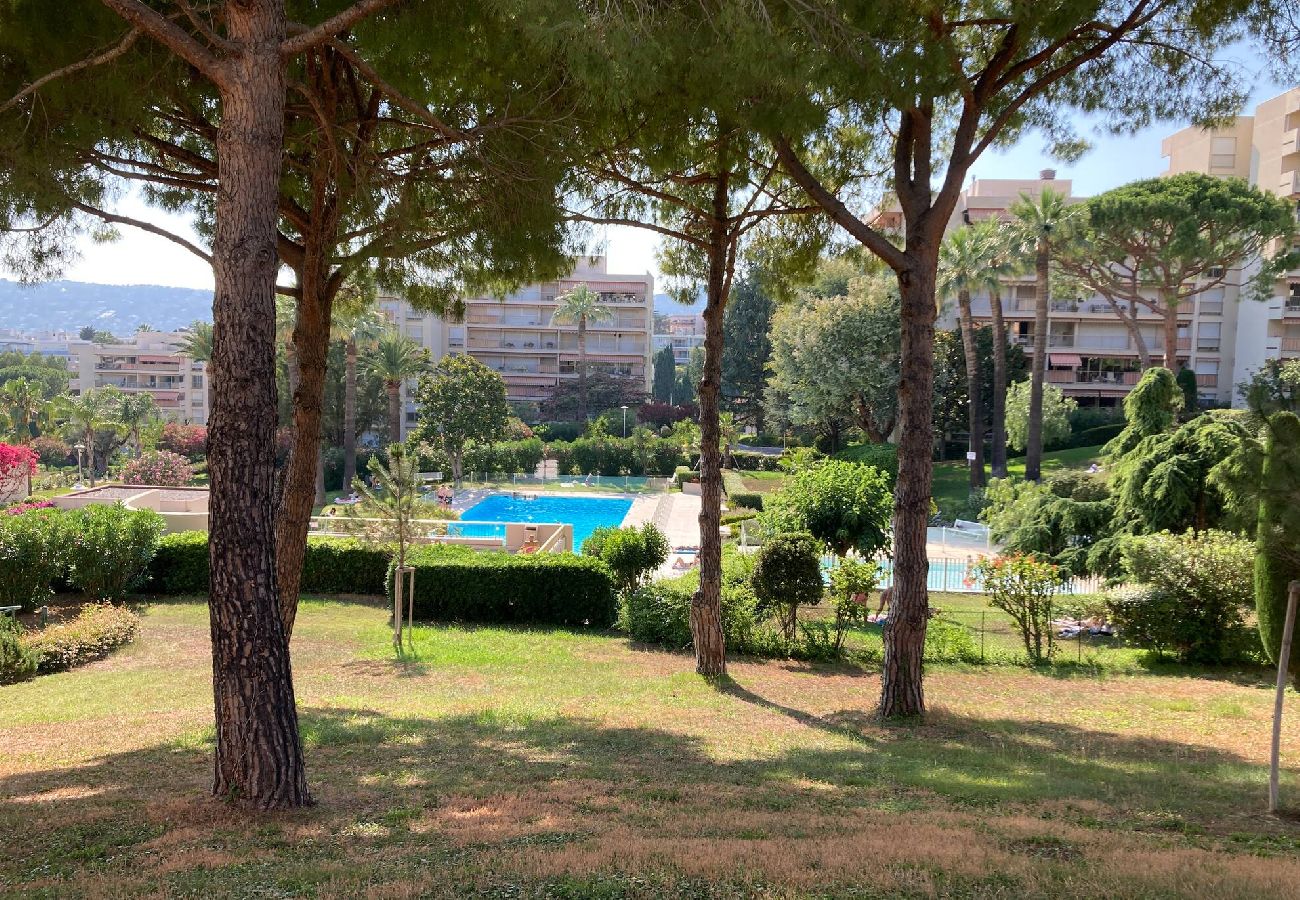 Studio à Antibes - Grand Studio Piscine Juan les Pins 