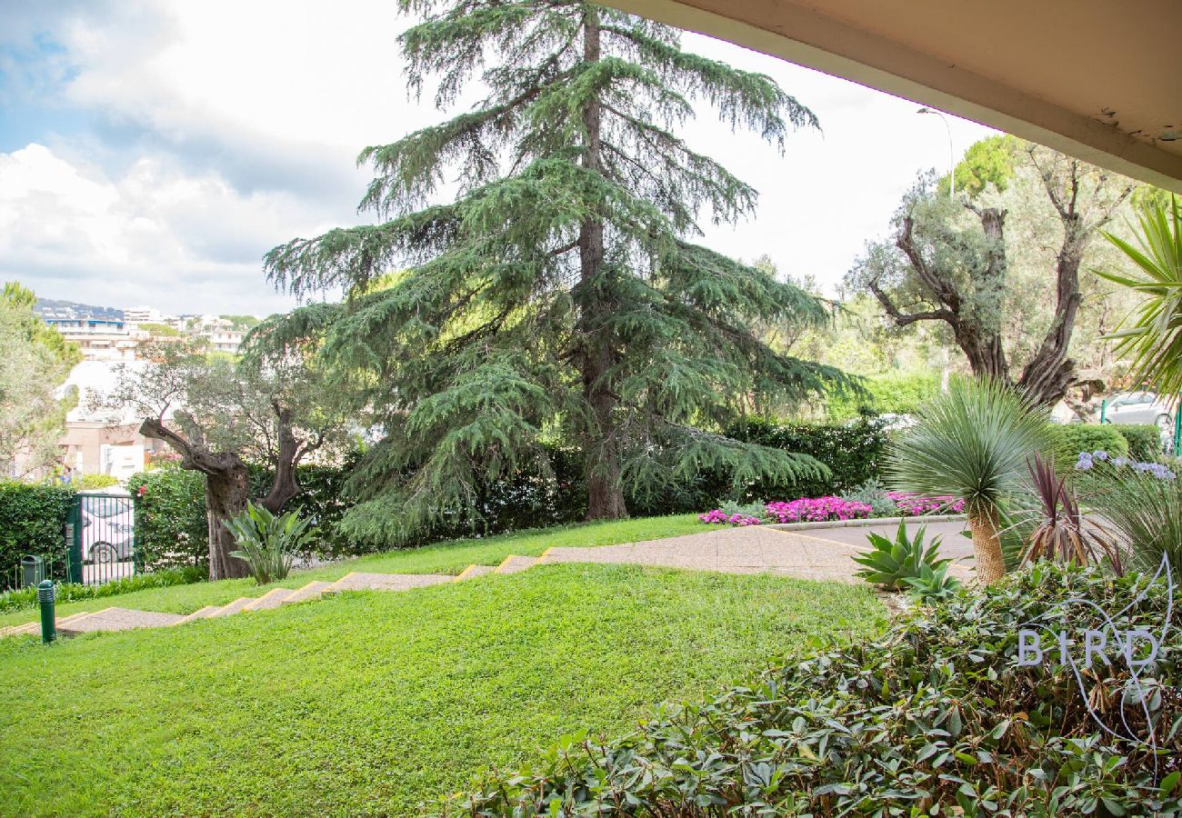 Studio à Antibes - Grand Studio Piscine Juan les Pins 
