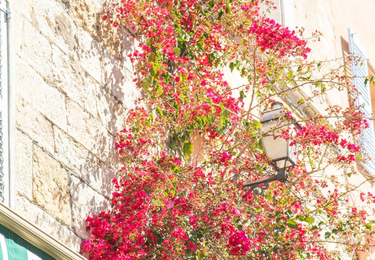 Villa à Tourrettes - Charmante maison provençale Fayence