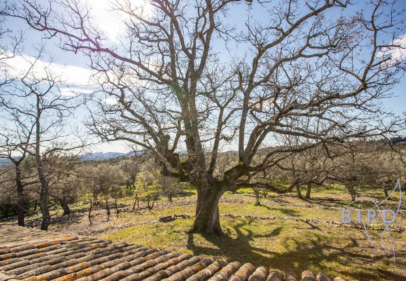Villa à Tourrettes - magnifique maison en pierre au coeur du pays de Fayence
