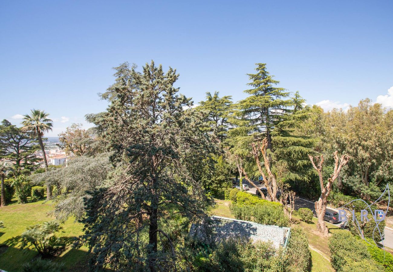 Appartement à Cannes - Bel appartement à Cannes Vue Mer et Piscine 